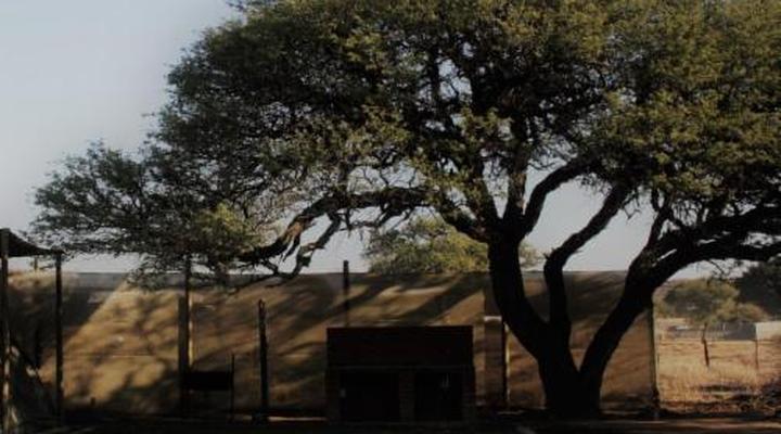 Out of Nature Country Lodge