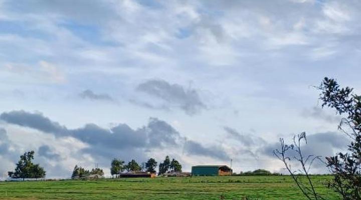 Little Fields Country House