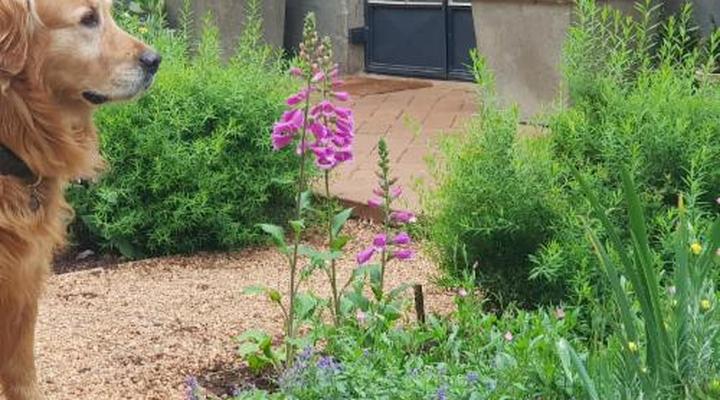 Little Fields Country House