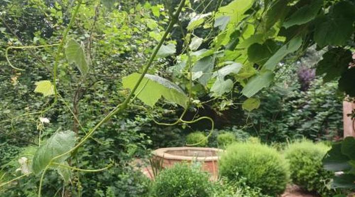 Little Fields Country House