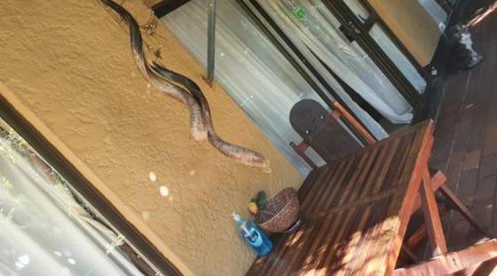 Breena BnB Guest House