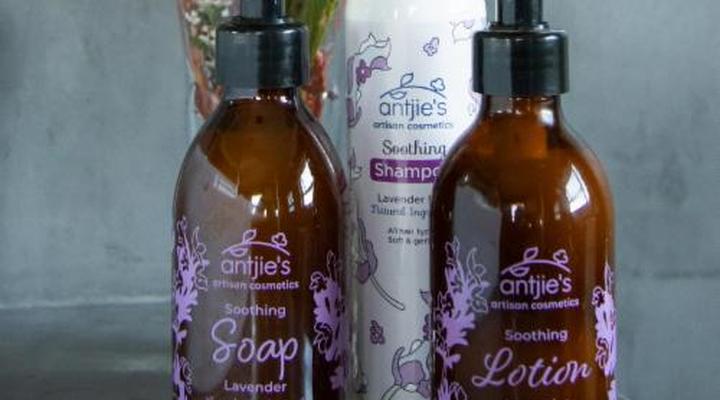 White Shark Guest House