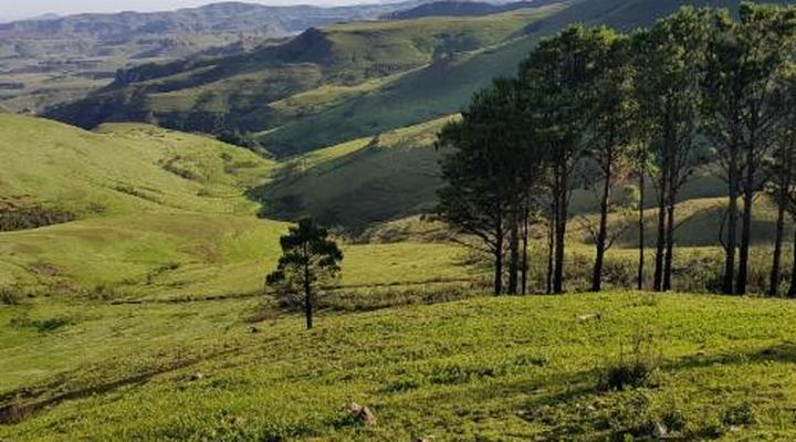 Witsieshoek Mountain Lodge