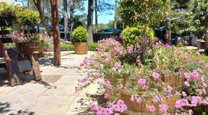 Wine Route 44 Guesthouse