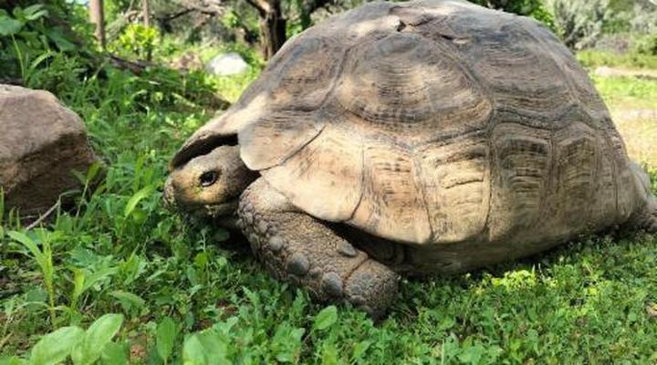 Bhejane Game Reserve