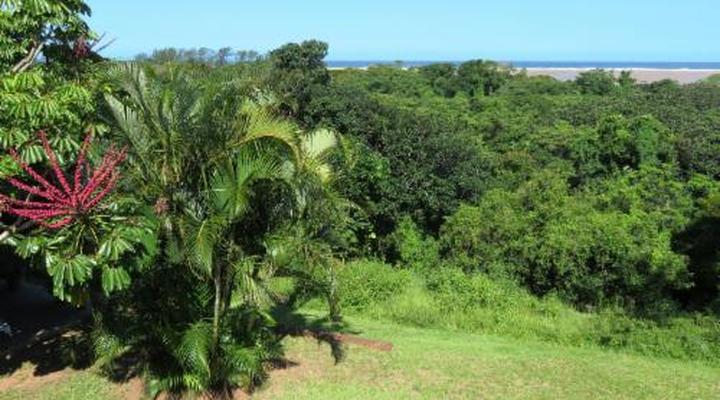 Little Eden St Lucia