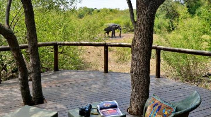 Motswiri Private Safari Lodge