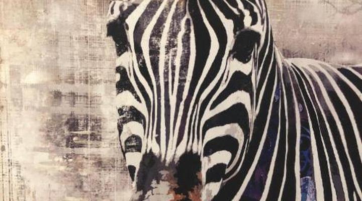 African-Dreamz Guest House