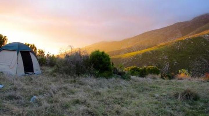 Meijer's Rust Guest Farm