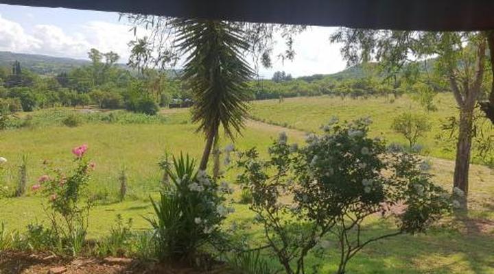 Cynthia's Country Stay