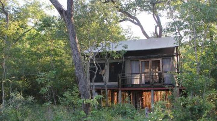 Miombo Safari Camp