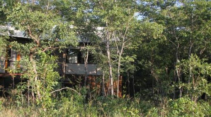 Miombo Safari Camp