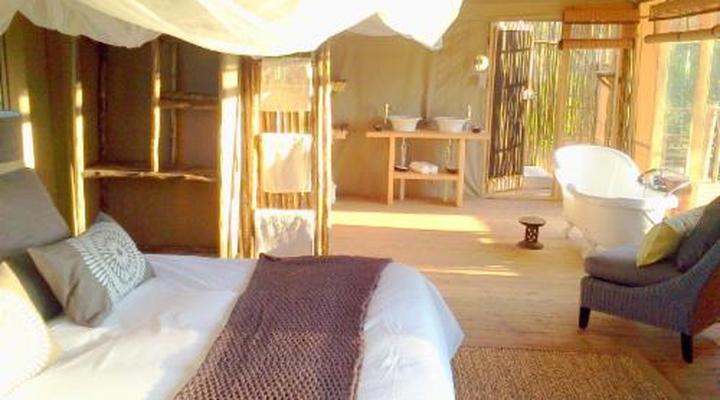 Miombo Safari Camp