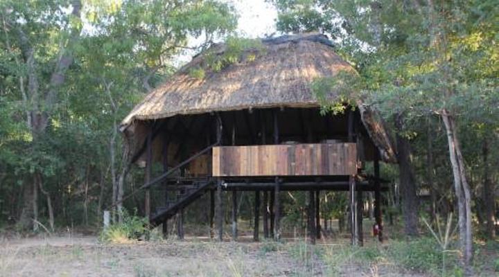 Miombo Safari Camp
