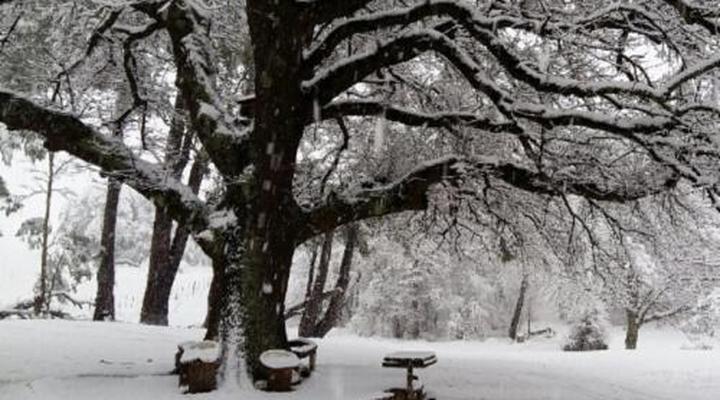 Fairbairn Guest Farm