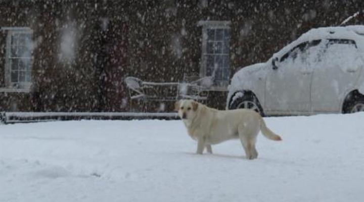 Fairbairn Guest Farm