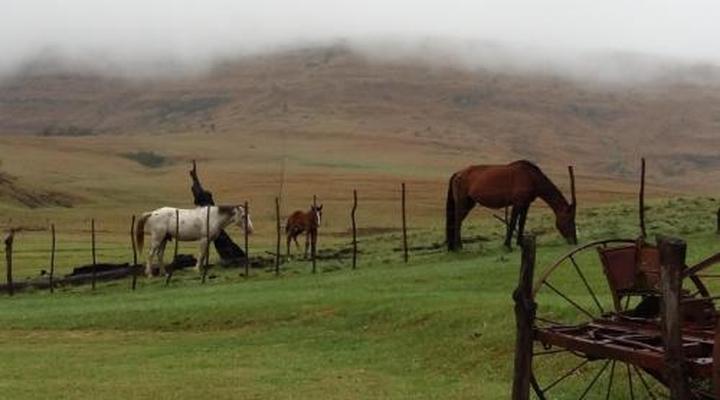 Fairbairn Guest Farm