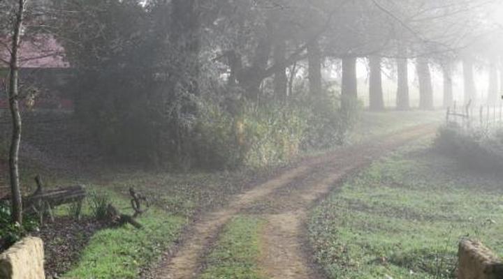 Fairbairn Guest Farm