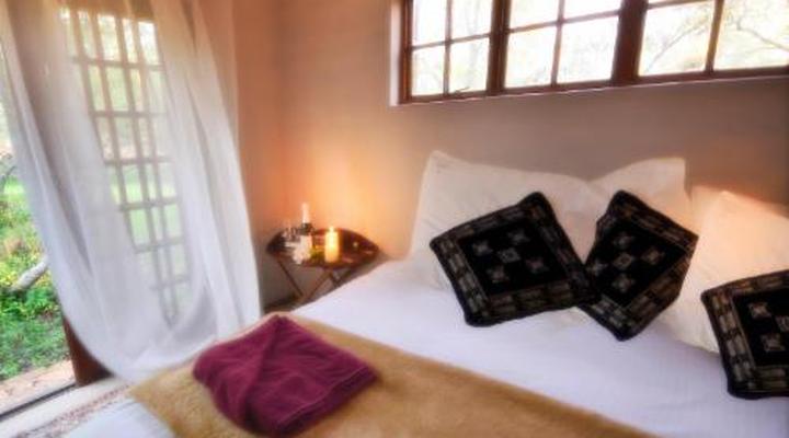 Hayward's Safari House