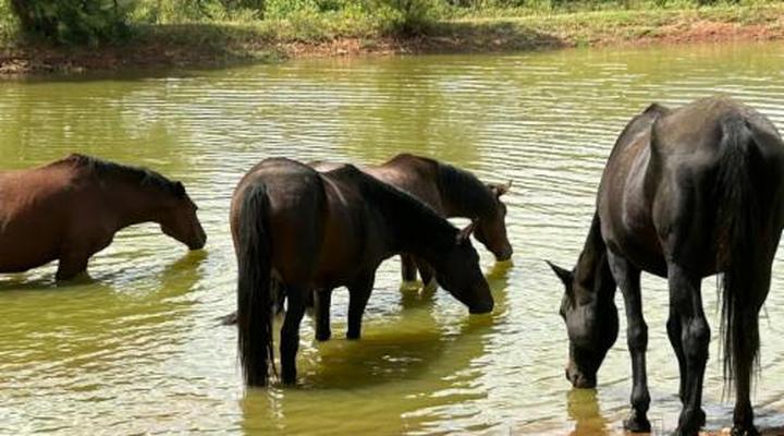Thandile Country Lodge