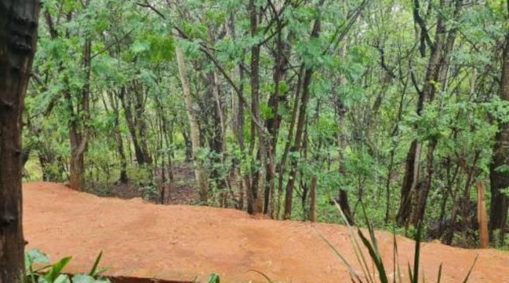 Thandile Country Lodge