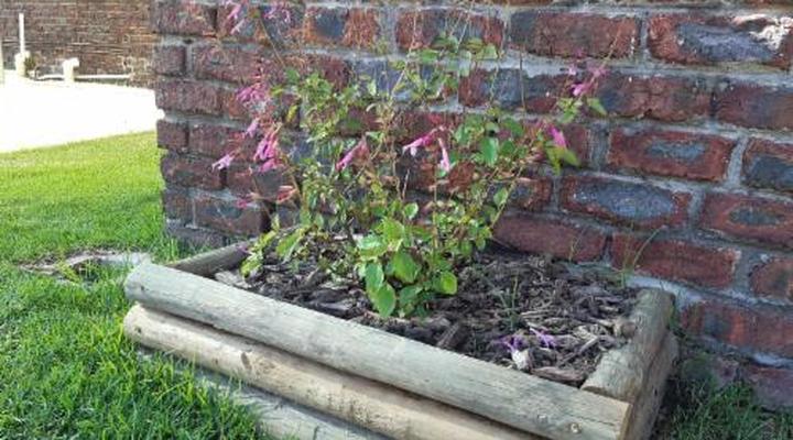 Rhodene Farm Cottages