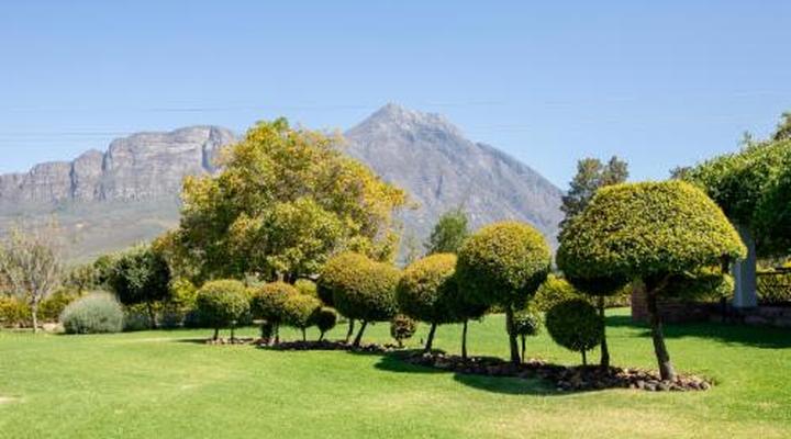 Saronsberg Vineyard Cottages