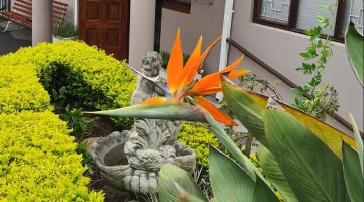 Sylvern Bed & Breakfast