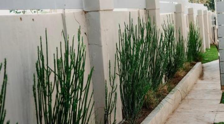 Lighthouse Guesthouse & Cafe