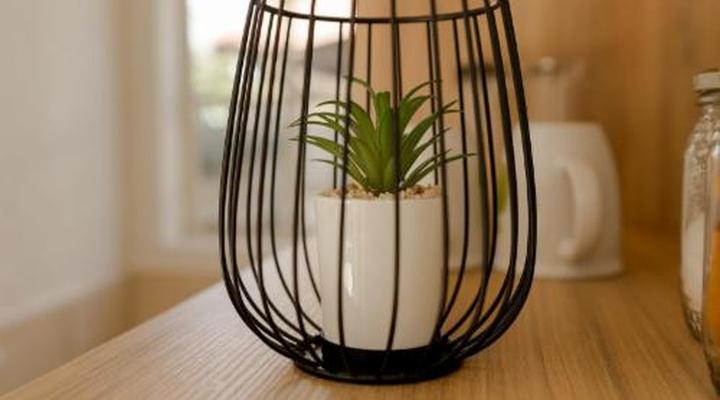 Alte Welkom Guesthouse