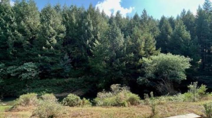 Zwakala River Retreat