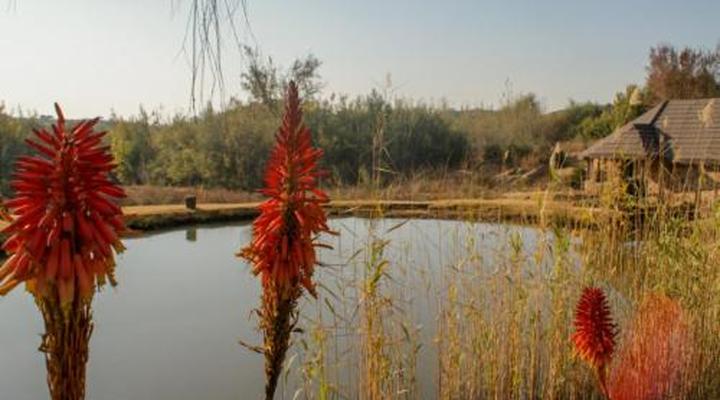 Riverman Cabin Country Lodge - Tonteldoos
