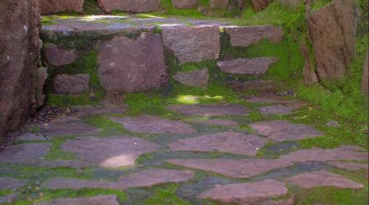 Riverman Cabin Country Lodge - Tonteldoos