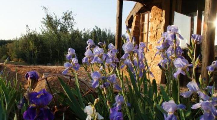 Riverman Cabin Country Lodge - Tonteldoos