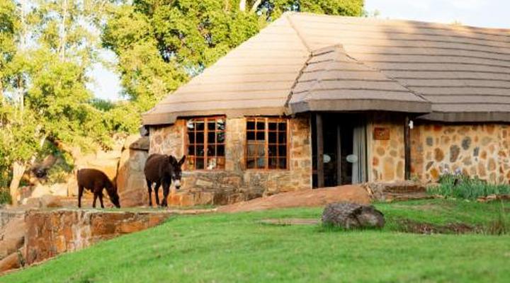 Riverman Cabin Country Lodge - Tonteldoos