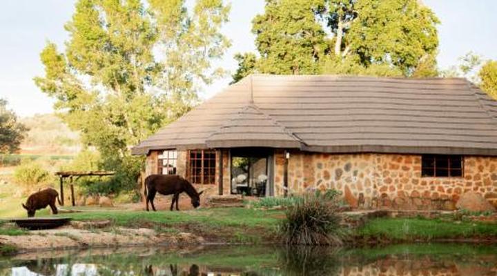 Riverman Cabin Country Lodge - Tonteldoos