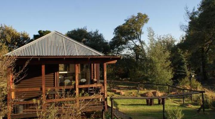 Riverman Cabin Country Lodge - Tonteldoos