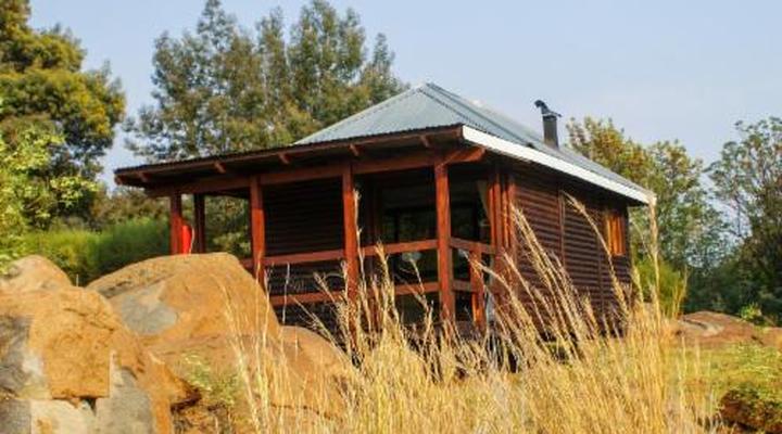 Riverman Cabin Country Lodge - Tonteldoos