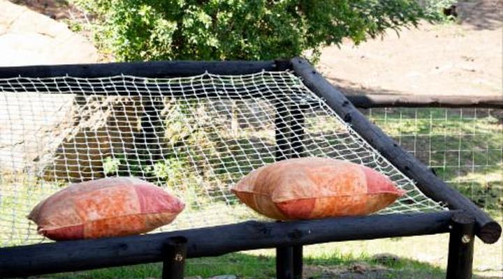 Riverman Cabin Country Lodge - Tonteldoos