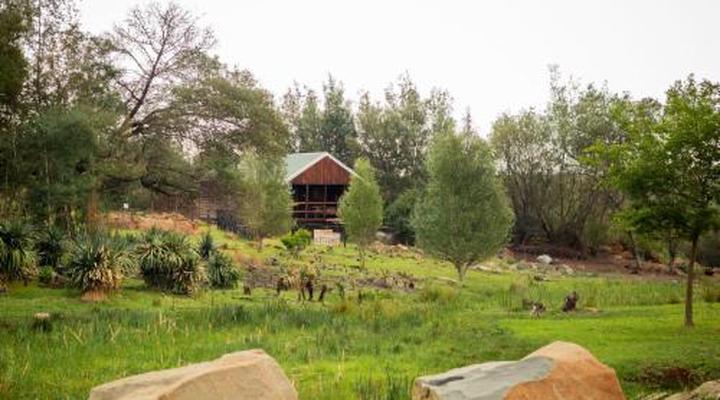 Riverman Cabin Country Lodge - Tonteldoos