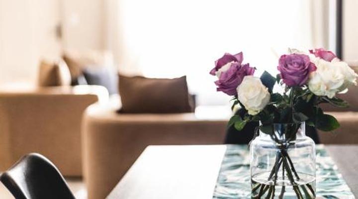 The Seagull Hermanus