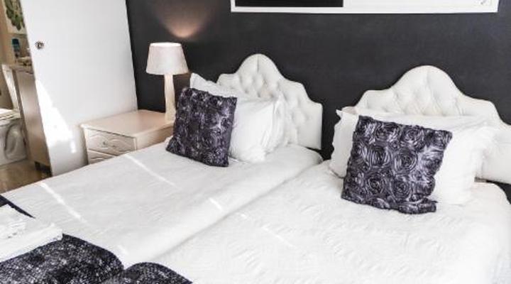 The Seagull Hermanus