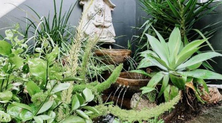 The Seagull Hermanus