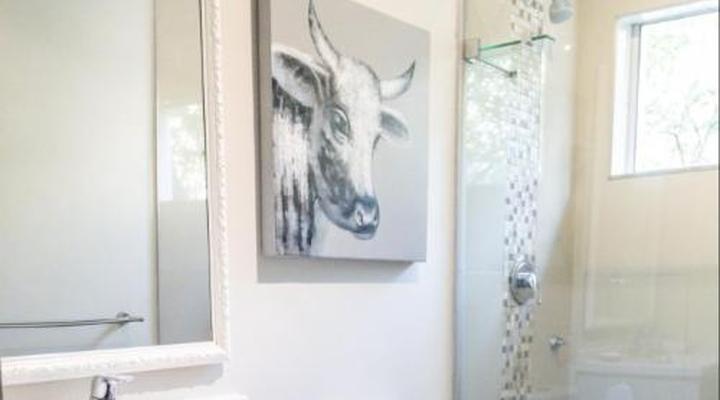 The Seagull Hermanus