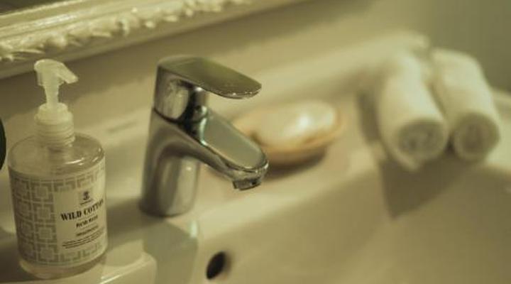 The Seagull Hermanus