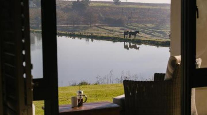 Under Oaks - The Vineyard Suites