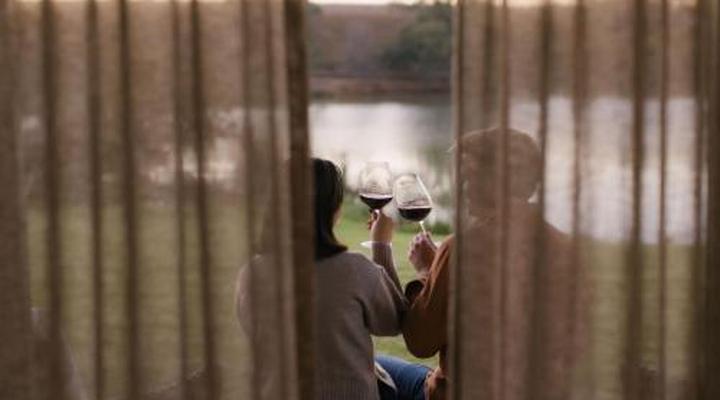 Under Oaks - The Vineyard Suites