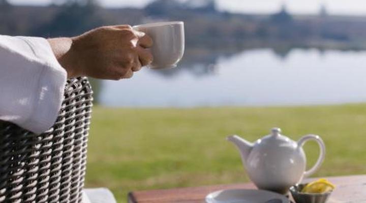 Under Oaks - The Vineyard Suites