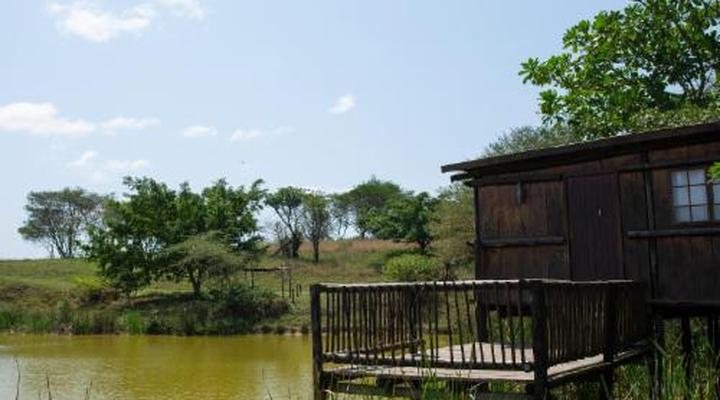 Rain Farm Game and Lodge