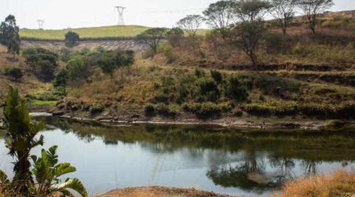 Rain Farm Game and Lodge